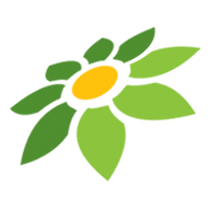 WILDFLOWER LIRIK